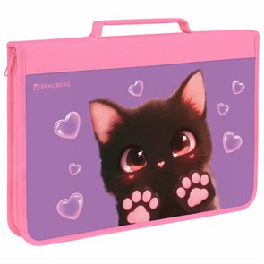 {{photo.Alt || photo.Description || 'Папка на молнии BRAUBERG А4 с ручкой, с органайзером, 1 отделение, &quot;Paw prints&quot;, 273383'}}