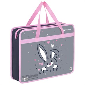 {{photo.Alt || photo.Description || 'Папка на молнии с ручками BRAUBERG А4, 1 отделение, пластик, 80 мм, &quot;Curious bunny&quot;, 272164'}}