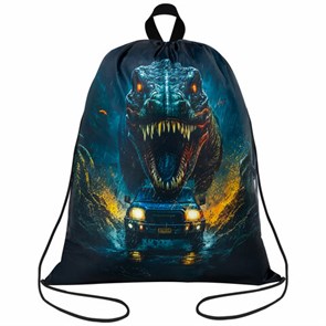 {{photo.Alt || photo.Description || 'Мешок для обуви BRAUBERG KIDS, с петлей, 42х34 см, &quot;Dino chase&quot;, 272416'}}