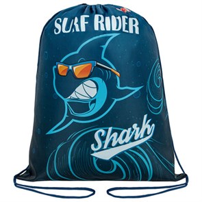 {{photo.Alt || photo.Description || 'Мешок для обуви ПИФАГОР, 1 отделение, 40х32 см, &quot;Shark attack&quot;, 271604'}}