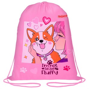 {{photo.Alt || photo.Description || 'Мешок для обуви ПИФАГОР, 1 отделение, 42х34 см, &quot;Fluffy akita&quot;, 272385'}}