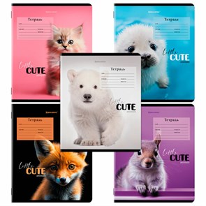 {{photo.Alt || photo.Description || 'Тетрадь 12 л. BRAUBERG, клетка, обложка картон, CUTE ANIMALS, 107266'}}