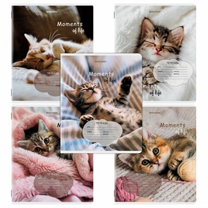 {{photo.Alt || photo.Description || 'Тетрадь 18 л. BRAUBERG клетка, обложка картон, КОТЯТА, 107292'}}