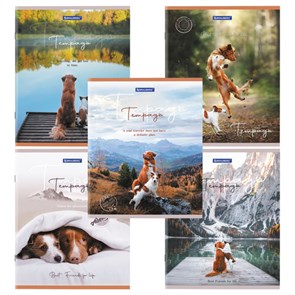 {{photo.Alt || photo.Description || 'Тетрадь А5 48 л. BRAUBERG скоба, клетка, обложка картон, &quot;Best Friends&quot; (микс в спайке), 404360'}}