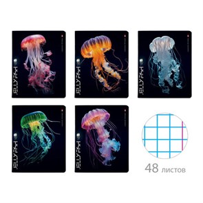 {{photo.Alt || photo.Description || 'Тетрадь А5 48 л. АЛЬТ скоба, клетка, TWIN-лак, &quot;Медузы фэнтези&quot; (5 видов), 7-48-1331'}}