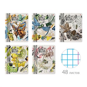 {{photo.Alt || photo.Description || 'Тетрадь А5 48 л. АЛЬТ скоба, клетка, матовая ламинация, &quot;MACRO NATURE&quot; (5 видов), 7-48-1340'}}