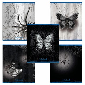 {{photo.Alt || photo.Description || 'Тетрадь А5 48 л. ПЗБМ, скоба, клетка, матовая ламинация, выборочный лак, &quot;Паутина&quot; (микс в спайке), 23850'}}