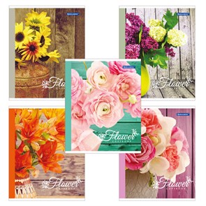 {{photo.Alt || photo.Description || 'Тетрадь А5, 48 л., BRAUBERG скоба, клетка, блестки, ДУШИСТЫЕ ЦВЕТЫ, 402810'}}