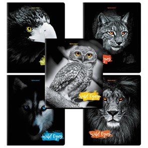 {{photo.Alt || photo.Description || 'Тетрадь А5, 48 л., BRAUBERG, скоба, клетка, выборочный лак, &quot;Wild eyes&quot; (микс в спайке), 404343'}}