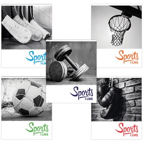 {{photo.Alt || photo.Description || 'Тетрадь А5, 48 л., BRAUBERG, скоба, клетка, обложка картон, СПОРТ, 403035'}}