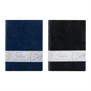 {{photo.Alt || photo.Description || 'Тетради 60 л. в клетку обложка гладкий кожзам, НАБОР 2 шт., сшивка, B5 (179х250 мм), BRAUBERG VIVA, 403900'}}