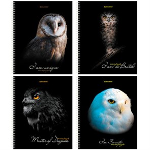 {{photo.Alt || photo.Description || 'Тетрадь А5 96 л. BRAUBERG, гребень, клетка, твёрдая обложка, &quot;Совы&quot; (микс в спайке), 404443'}}