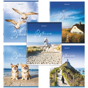 {{photo.Alt || photo.Description || 'Тетрадь А5, 80 л., BRAUBERG, скоба, клетка, обложка картон, &quot;By the Sea&quot;, 404410'}}