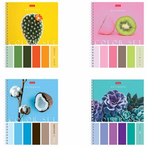 {{photo.Alt || photo.Description || 'Тетрадь А5, 80 л., HATBER гребень, клетка, обложка картон, &quot;Color Set&quot; (4 вида в спайке), 80Т5В1гр'}}