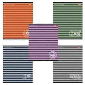 {{photo.Alt || photo.Description || 'Тетрадь А5, 96 л., HATBER, скоба, линия, обложка картон, &quot;ПОЛОСОЧКИ&quot; (микс), 033678, 96Т5B2'}}