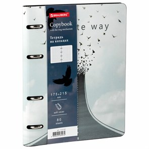 {{photo.Alt || photo.Description || 'Тетрадь на кольцах А5 (180х220 мм), 80 листов, под кожу, клетка, BRAUBERG VISTA, Infinite way, 112132'}}