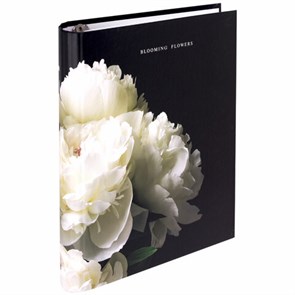 {{photo.Alt || photo.Description || 'Тетрадь на кольцах А5 175х215 мм, 120 листов, твердый картон, фольга, клетка, BRAUBERG, &quot;Bloom&quot;, 404721'}}