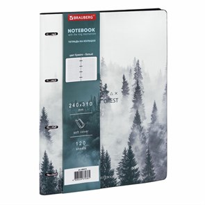 {{photo.Alt || photo.Description || 'Тетрадь на кольцах БОЛЬШАЯ А4 (240х310 мм), 120 л., под кожу, BRAUBERG VISTA, &quot;Туман&quot;, 404515'}}