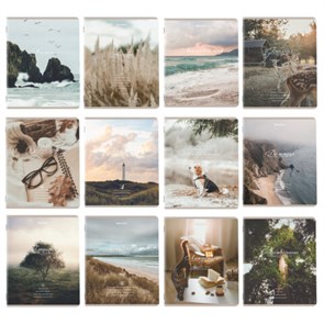 {{photo.Alt || photo.Description || 'Тетради предметные, КОМПЛЕКТ 12 ПРЕДМЕТОВ, 48 л., SoftTouch, BRAUBERG, &quot;ESTHETICS&quot;, 404833'}}