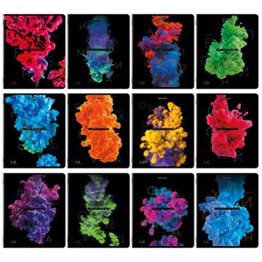 {{photo.Alt || photo.Description || 'Тетради предметные, КОМПЛЕКТ 12 ПРЕДМЕТОВ, 48 л., глянцевый УФ-лак, BRAUBERG, &quot;PIGMENT&quot;, 404834'}}