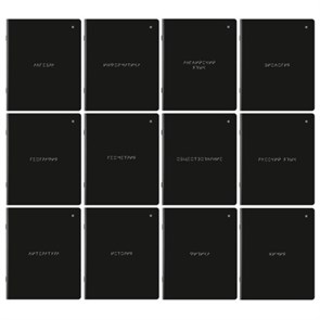 {{photo.Alt || photo.Description || 'Тетради предметные, КОМПЛЕКТ 12 ПРЕДМЕТОВ, 48 л., матовая ламинация, BRAUBERG, &quot;MINIMAL&quot;, 404831'}}