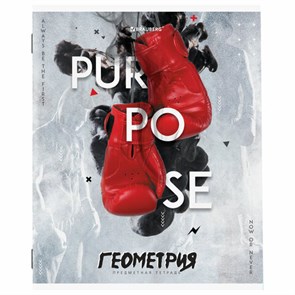 {{photo.Alt || photo.Description || 'Тетрадь предметная &quot;SPORT CLUB&quot; 48 л., обложка картон, ГЕОМЕТРИЯ, клетка, подсказ, BRAUBERG, 404799'}}