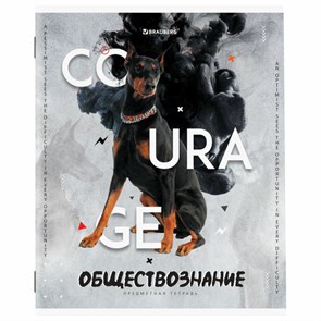 {{photo.Alt || photo.Description || 'Тетрадь предметная &quot;SPORT CLUB&quot; 48 л., обложка картон, ОБЩЕСТВОЗНАНИЕ, клетка, подсказ, BRAUBERG, 404795'}}