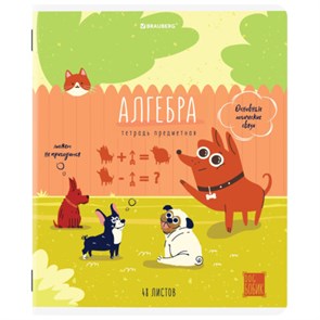 {{photo.Alt || photo.Description || 'Тетрадь предметная DOG БОБИК 48 л., TWIN-лак, АЛГЕБРА, клетка, подсказ, BRAUBERG, 404782'}}