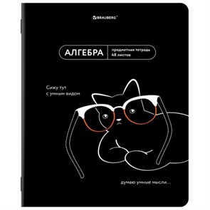 {{photo.Alt || photo.Description || 'Тетрадь предметная МЕМЫ 48 л., TWIN-лак, АЛГЕБРА, клетка, подсказ, BRAUBERG, 405096'}}