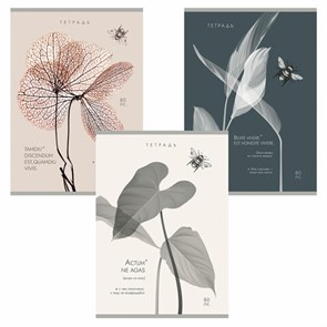 {{photo.Alt || photo.Description || 'Тетрадь А4 80 л. ПЗБМ, скоба, клетка, Soft Touch, брайль, &quot;Латынь&quot; (микс в спайке), 23430'}}