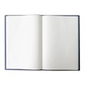 Книга учета 96 л., клетка, твердая, бумвинил, блок офсет, А4 (200х290 мм), BRAUBERG, светло-синяя, 130069 130069