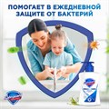 Мыло жидкое антибактериальное 225 мл, SAFEGUARD (Сейфгард) "Классическое", дозатор, 706543 603304