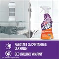 Чистящее средство 750 мл, CILLIT BANG "Антиналет + Блеск", универсальное, распылитель 600351
