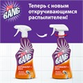 Чистящее средство 750 мл, CILLIT BANG "Антиналет + Блеск", универсальное, распылитель 600351