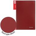 Папка 40 вкладышей BRAUBERG стандарт, красная, 0,7 мм, 221602 221602