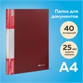Папка 40 вкладышей BRAUBERG стандарт, красная, 0,7 мм, 221602 221602
