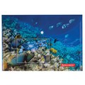 Папка-конверт с кнопкой BRAUBERG "SEA WORLD", А4, 160 мкм, до 100 листов, цветная печать, 228041 228041