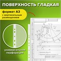 Папки-файлы БОЛЬШОГО ФОРМАТА (297х420 мм) А3, ВЕРТИКАЛЬНЫЕ, КОМПЛЕКТ 50 шт., 35 мкм, STAFF "Manager", 225769 225769
