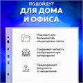 Папки-файлы перфорированные А4 BRAUBERG "STANDARD", КОМПЛЕКТ 100 шт., гладкие, 40 мкм, 229661 229661