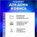 Папки-файлы перфорированные, А4, BRAUBERG "STANDARD", комплект 100 шт., матовые, 30 мкм, 221991 221991