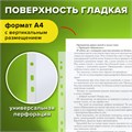 Папки-файлы перфорированные, А4, STAFF "ЭКОНОМ", КОМПЛЕКТ 100 шт., гладкие, 35 мкм, 226830 226830