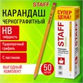 Карандаши чернографитные с ластиком STAFF EVERYDAY BLP-YLW, КОМПЛЕКТ 50 шт., НВ, пластиковые, корпус жёлтый, 181942 181942