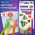 Карандаши цветные BRAUBERG PREMIUM 12 цветов, трехгранные, грифель 3,3 мм, натуральное дерево, 181651 181651