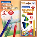 Карандаши цветные BRAUBERG PREMIUM, 12 цветов, трехгранные, грифель 3 мм, 181661 181661