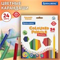 Карандаши цветные BRAUBERG PREMIUM, 24 цвета, шестигранные, грифель 3 мм, 181668 181668