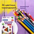 Карандаши цветные BRAUBERG PREMIUM, 36 цветов, трехгранные, грифель 3,3 мм, натуральное дерево, 181654 181654