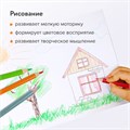Карандаши цветные BRAUBERG PREMIUM, 36 цветов, трехгранные, грифель 3,3 мм, натуральное дерево, 181654 181654
