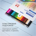 Карандаши цветные BRAUBERG, 24 цвета, шестигранные, грифель 3,3 мм, черное дерево, 181858 181858