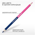 Карандаши цветные двусторонние BRAUBERG PREMIUM TWIN COLOUR, 24 шт., 48 цв., туба, шестигранные, грифель 3,3 мм, натуральное дерево, 181876 181876