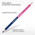 Карандаши цветные двусторонние BRAUBERG PREMIUM TWIN COLOUR, 24 штуки, 48 цветов, шестигранные, грифель 3,3 мм, натуральное дерево, 181875 181875